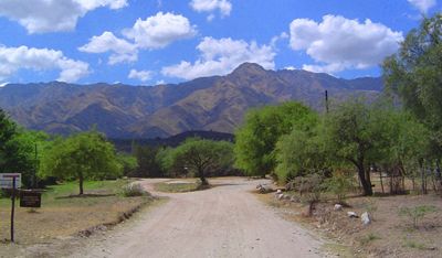 Vista cercana de Menta y Peperina